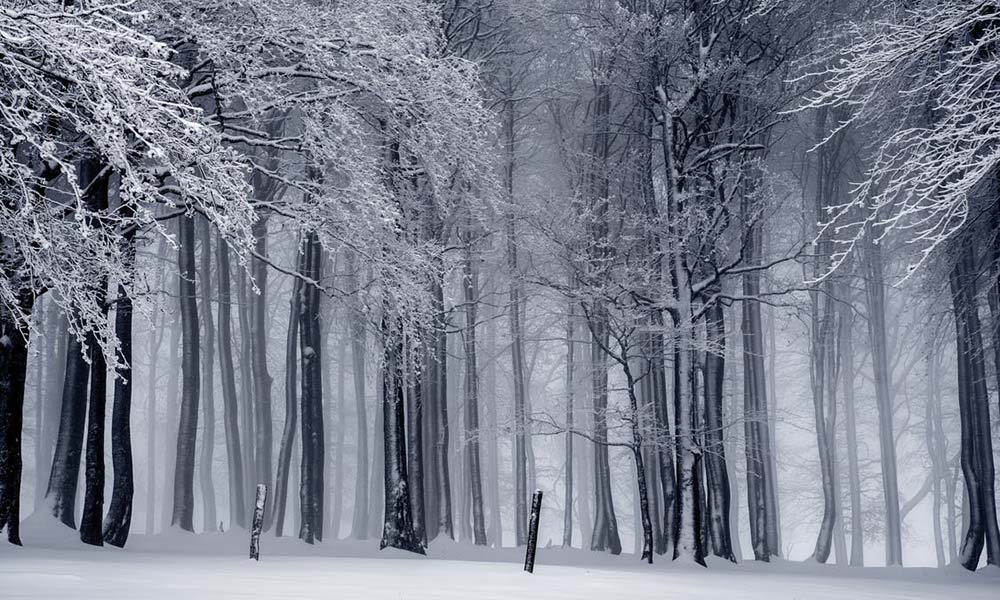 Mơ thấy phong cảnh đẹp mùa đông